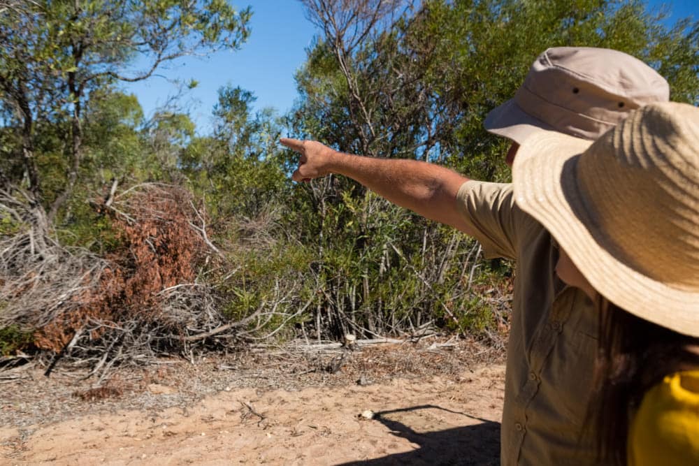 site environmental audits Wa